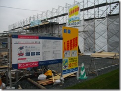 IMGP2967