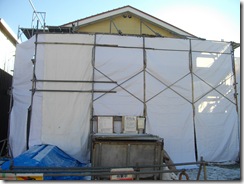 IMGP3130